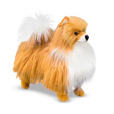 pomeranian plush