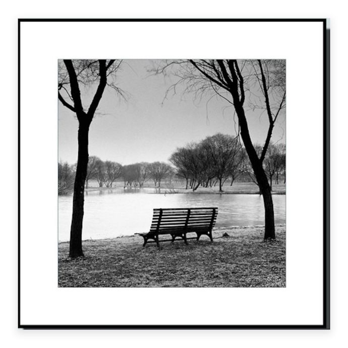 Elementem Photography Park Bench At The Lake Framed Black And