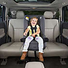 Alternate image 11 for Safety 1ˢᵗ&reg; Jive 2-in-1 Convertible Car Seat