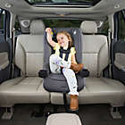 Alternate image 13 for Safety 1ˢᵗ&reg; Jive 2-in-1 Convertible Car Seat