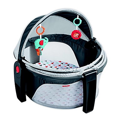 Fisher-Price&reg; Arrows On-the-Go Baby Dome. View a larger version of this product image.