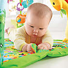 Alternate image 1 for Fisher-Price&reg; Rainforest Music and Lights Deluxe Gym