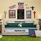 Alternate image 0 for Michigan State University Sofa Cover