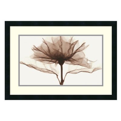 PHOTO FLORAL ART PRINT Dahlia by Steven Meyers