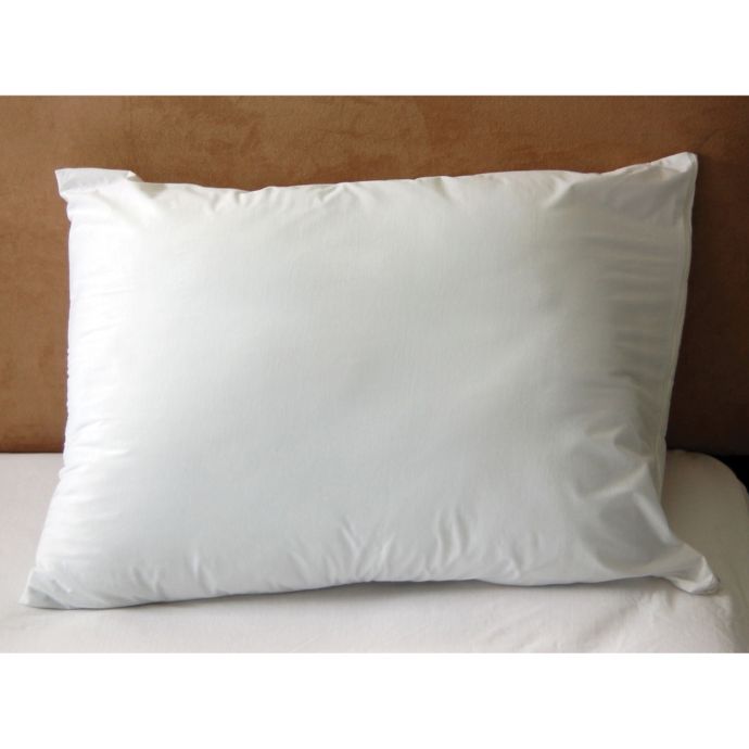 Bonne Sante Tencel Pillow Protector Bed Bath Beyond