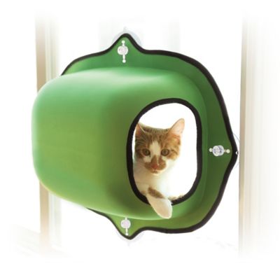 cat pod