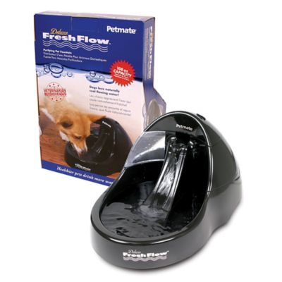 bed bath and beyond pet fountain