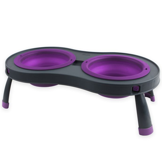 Double Elevated Pet Feeder Bed Bath & Beyond