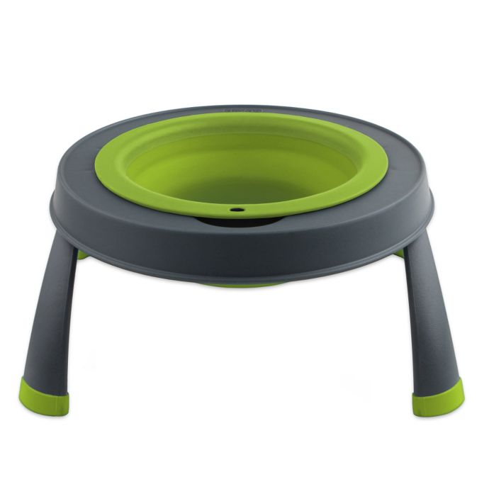 Single Elevated Pet Feeder Bed Bath & Beyond