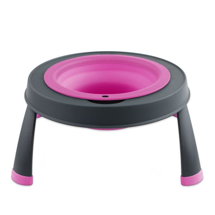 Single Elevated Pet Feeder Bed Bath Beyond