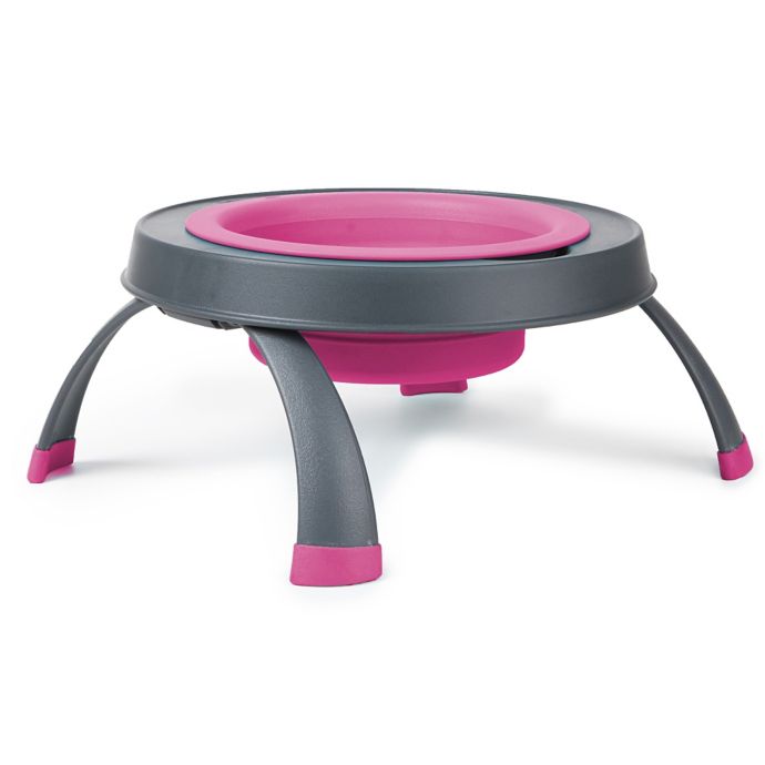 Single Elevated Pet Feeder Bed Bath & Beyond