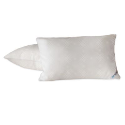 Sealy Posturepedic Maximum Protection Pillow Cover Bed Bath