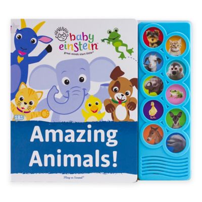 Baby Einstein™ Amazing Animals: Play-A 