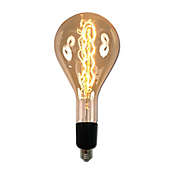 Minka Lavery&reg; 60-Watt Antique XL Edison Serpentine Filament Bulb