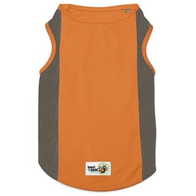 insect shield for dogs