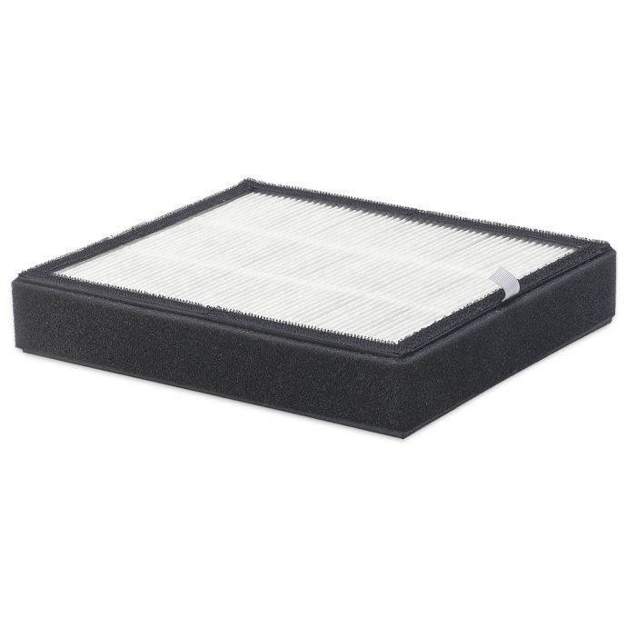 bed bath and beyond hepa filter