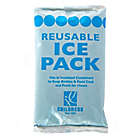 Alternate image 0 for J.L. Childress Reusable Ice Pack