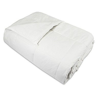 Natural Home&trade; Silk Comforter. View a larger version of this product image.