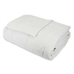Signature Collection™ Queen Silk Comforter in White