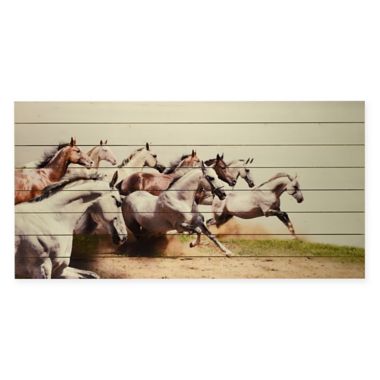 Art Charge Wood Plank 60-Inch x 30-Inch Wall Art. View a larger version of this product image.