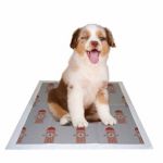 Dog Waste & Clean Up