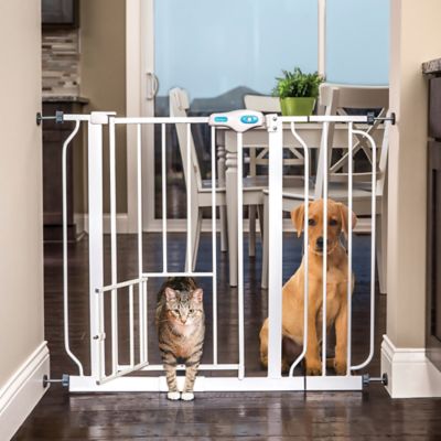 carlson design paw extra wide pet gate