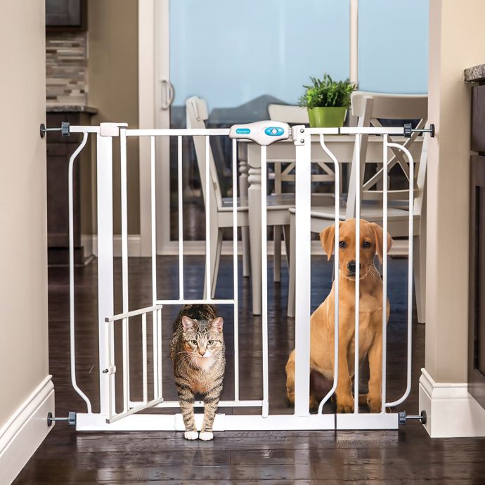 37 Wide Design Paw Auto Close Pet Gate Carlson Pet Products