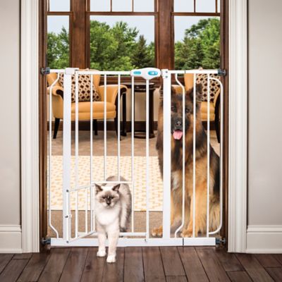 my pet windsor arch gate extra wide