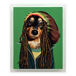 Pets Rock™ Reggae 16-Inch x 20-Inch Canvas Wall Art