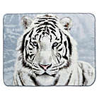 Alternate image 0 for Shavel Home Products White Tiger  Luxury Oversized Throw Blanket