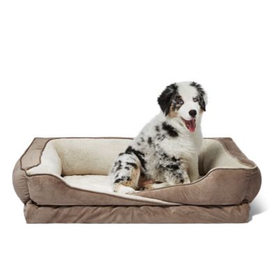 dog beds canada