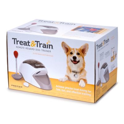 pet trainer remote