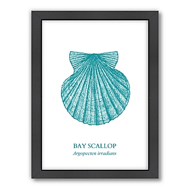 Americanflat Original Samantha Ranlet Collection Scallop 21-Inch x 27-Inch Wall Art. View a larger version of this product image.