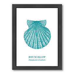 Americanflat Original Samantha Ranlet Collection Scallop 21-Inch x 27-Inch Wall Art