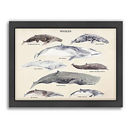 Americanflat Whales 27-Inch x 21-Inch Wood-Framed Wall Art