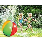 Alternate image 1 for Splash & Spray Beach Ball