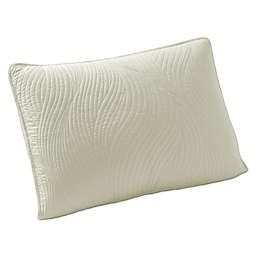 Brielle Stream Standard Pillow Shams in Ivory (Set of 2)