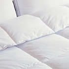 Alternate image 1 for Nikki Chu RANA Allergen Barrier Down Alternative Comforter in White