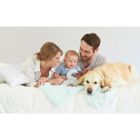 Alternate image 1 for Just Born&reg; Sparkle "Twinkle Twinkle" Throw Pillow