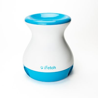 ifetch dog toy