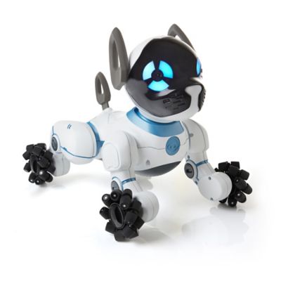 chip robot pet dog