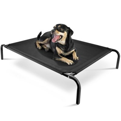 elevated pet bed canada