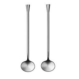 Orrefors City Spoons (Set of 2)