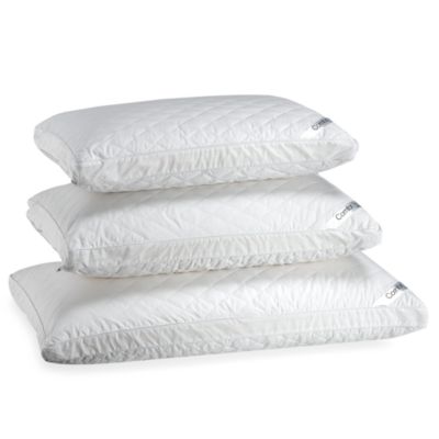 bed bath and beyond latex pillow