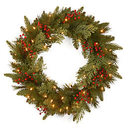 National Tree Company Classical Collection 24-Inch Wreath with White LED Lights