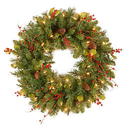 National Tree Company Classical Collection 24-Inch Wreath with Clear Lights