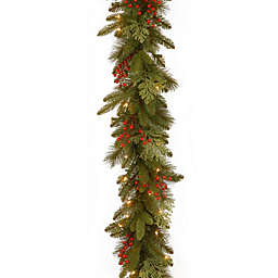 National Tree Company Classical Collection 9-Foot Garland with Clear Lights