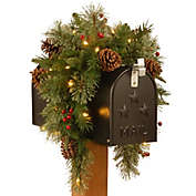 National Tree Company 36-Inch Colonial Mailbox Swag with Warm White LED