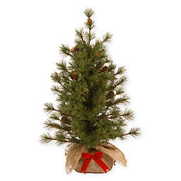 National Tree 3-Foot Bristle Pine Christmas Tree