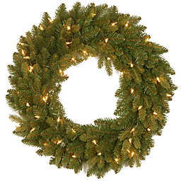 National Tree 24-Inch Avalon Spruce Wreath with Clear Lights